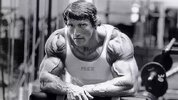 Thread 'Fitness Legends: The Struggle Paths of Those Body Building Giants'