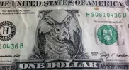 slang-for-dollars.webp