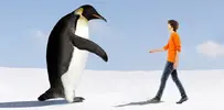 tall-penguins.webp