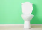 toilet-against-sea-green-wall-1024x732.webp