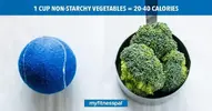 tionSizes_Facebook_NonStarchyVegetables-1024x538-1.webp