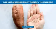 PortionSizes_Facebook_StarchyVegetable-1024x538-1.webp