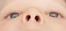 Small-child-nostrils.webp