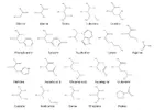 amino-acid-structure-diagram.webp