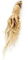 ginseng_0.webp