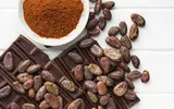 choclate-beans-and-powder.webp