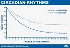 circadianrhythmslinegraph.webp