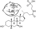 Tauroursodeoxycholic-acid-tudca-chemical-structure.webp