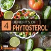 Phytosterol.webp