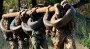 Navy-Seal-Training-Holding-Log-Muddy.webp