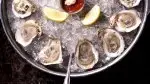 10-Underrated-Protein-Oysters.webp