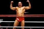 The Iron Sheik