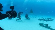 Footage from Aldo Kane underwater for National Geographic series; OceanXplorers