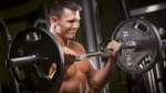 Barbell Biceps Curl